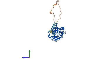 AlphaFold protein structure predicition of Human Recombinant FGF20 Protein, UniprotID Q9NP95