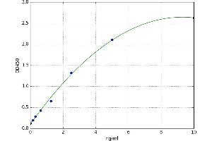 Lysophosphatidic Acid Receptor 3 (LPAR3) ELISA Kit