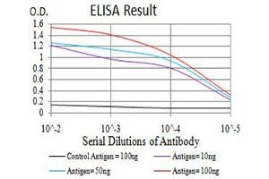 anti-SH3-Domain GRB2-Like 1 (SH3GL1) (AA 12-119) antibody
