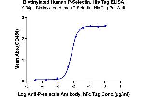 Immobilized Biotinylated Human P-Selectin, His Tag at 0.