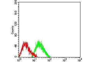Flow cytometric analysis of SW480 cells using COL1A2 mouse mAb (green) and negative control (red).