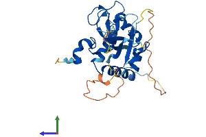 AlphaFold protein structure predicition of Mouse Recombinant Pcgf5 Protein, UniprotID Q3UK78