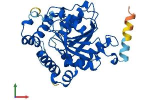 AlphaFold protein structure predicition of Human Recombinant SPG21 Protein, UniprotID Q9NZD8
