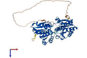 AlphaFold protein structure predicition of Human Recombinant GTDC1 Protein, UniprotID Q4AE62