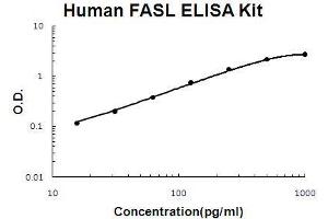 Human FASL PicoKine ELISA Kit standard curve (FASL Kit ELISA)