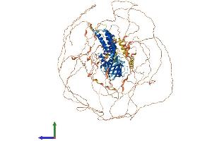 AlphaFold protein structure predicition of Human Recombinant PLEKHG2 Protein, UniprotID Q9H7P9