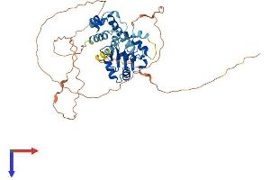 AlphaFold protein structure predicition of Human Recombinant ETS1 Protein, UniprotID P14921