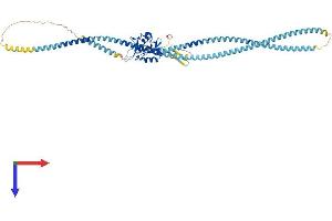 AlphaFold protein structure predicition of Mouse Recombinant Clec4f Protein, UniprotID P70194
