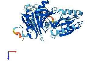 AlphaFold protein structure predicition of Human Recombinant CAPG Protein, UniprotID P40121