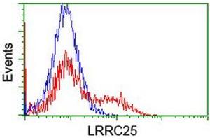 HEK293T cells transfected with either RC209911 overexpress plasmid (Red) or empty vector control plasmid (Blue) were immunostained by anti-LRRC25 antibody (ABIN2455890), and then analyzed by flow cytometry. (LRRC25 anticorps)