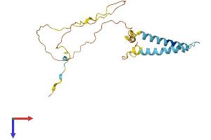 AlphaFold protein structure predicition of Human Recombinant TMEM134 Protein, UniprotID Q9H6X4