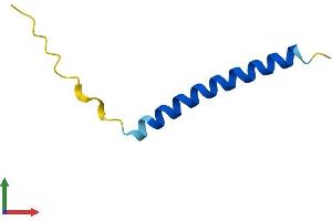 AlphaFold protein structure predicition of Human Recombinant PMAIP1 Protein, UniprotID Q13794