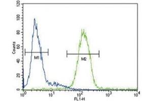 CP antibody flow cytometric analysis of HepG2 cells (green) compared to a negative control (blue).