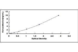 Typical standard curve (SYN1 Kit ELISA)