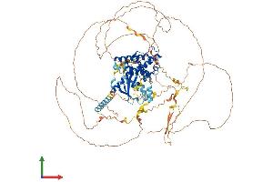 AlphaFold protein structure predicition of Mouse Recombinant Gas2l2 Protein, UniprotID Q5SSG4
