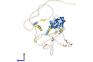 AlphaFold protein structure predicition of Human Recombinant CDC25B Protein, UniprotID P30305