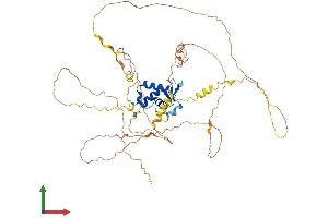 AlphaFold protein structure predicition of Mouse Recombinant Foxc1 Protein, UniprotID Q61572