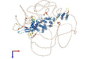 AlphaFold protein structure predicition of Mouse Recombinant Sec16b Protein, UniprotID Q91XT4