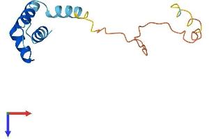 AlphaFold protein structure predicition of Human Recombinant RPLP2 Protein, UniprotID P05387