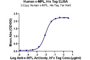 Immobilized Human c-MPL, His Tag at 0.