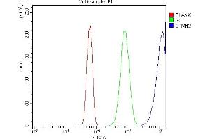 Flow Cytometry analysis of Neuro-2a cells using anti-SCG10/STMN2 antibody (ABIN7600734). (STMN2 anticorps  (AA 23-170))