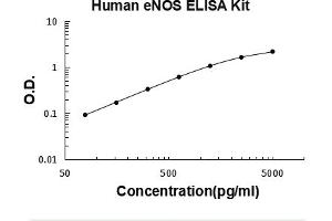 Typical Standard Curve