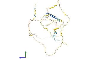 AlphaFold protein structure predicition of Human Recombinant PSRC1 Protein, UniprotID Q6PGN9
