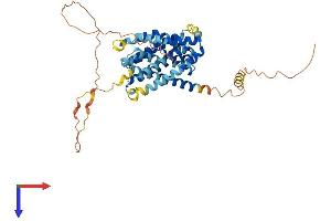 AlphaFold protein structure predicition of Human Recombinant SLC10A4 Protein, UniprotID Q96EP9