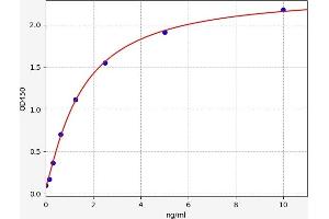 Typical standard curve