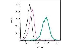 Cell surface detection of CaV1.