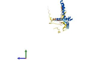 AlphaFold protein structure predicition of Mouse Recombinant Hes7 Protein, UniprotID Q8BKT2