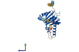 AlphaFold protein structure predicition of Human Recombinant NUS1 Protein, UniprotID Q96E22