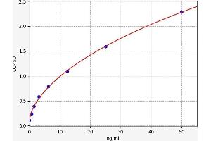 Typical standard curve (CD93 Kit ELISA)