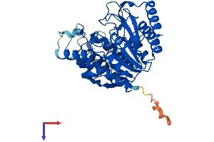 AlphaFold protein structure predicition of Human Recombinant HDAC8 Protein, UniprotID Q9BY41