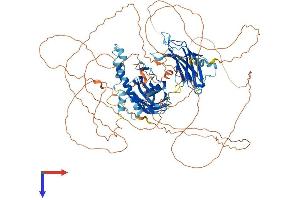 AlphaFold protein structure predicition of Human Recombinant SYTL2 Protein, UniprotID Q9HCH5