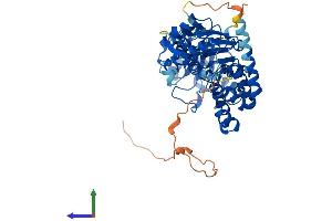 AlphaFold protein structure predicition of Human Recombinant DUS2 Protein, UniprotID Q9NX74