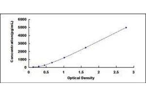 ELISA image for Myosin, Light Chain 2, Regulatory, Cardiac, Slow (MYL2) ELISA Kit (ABIN417300)
