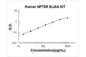 Neuronal Pentraxin Receptor (NPTXR) ELISA Kit