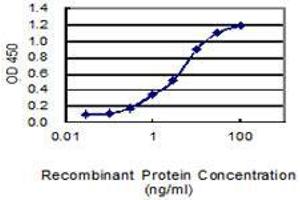 Detection limit for recombinant GST tagged FAM174A is 0. (FAM174A anticorps  (AA 1-190))