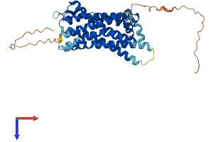 AlphaFold protein structure predicition of Mouse Recombinant Sstr5 Protein, UniprotID O08858