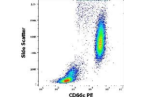Flow cytometry surface staining pattern of human peripheral whole blood stained using anti-human CD66c (B6. (CEACAM6 anticorps  (PE))
