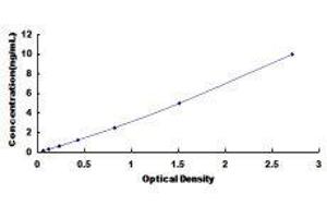 ELOVL Fatty Acid Elongase 1 (ELOVL1) ELISA Kit