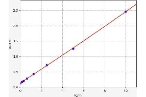 Typical standard curve (CYP1A2 Kit ELISA)