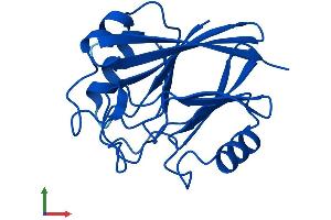 AlphaFold protein structure predicition of Human Recombinant VPS29 Protein, UniprotID Q9UBQ0