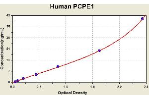 Diagramm of the ELISA kit to detect Human PCPE1with the optical density on the x-axis and the concentration on the y-axis. (PCOLCE Kit ELISA)