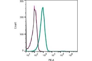 Cell surface detection of SLC3A2 (CD98) by indirect flow cytometry in live intact human Jurkat T-cell leukemia cell line: + goat-anti-rabbit-PE.