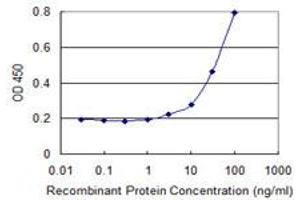 Detection limit for recombinant GST tagged PRDM4 is 1 ng/ml as a capture antibody. (PRDM4 anticorps  (AA 476-575))