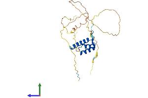 AlphaFold protein structure predicition of Human Recombinant VENTX Protein, UniprotID O95231