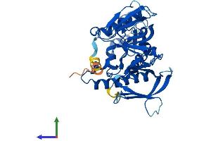 AlphaFold protein structure predicition of Mouse Recombinant Adap2 Protein, UniprotID Q8R2V5