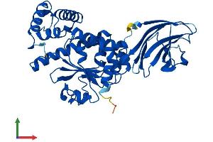 AlphaFold protein structure predicition of Mouse Recombinant Sec14l4 Protein, UniprotID Q8R0F9